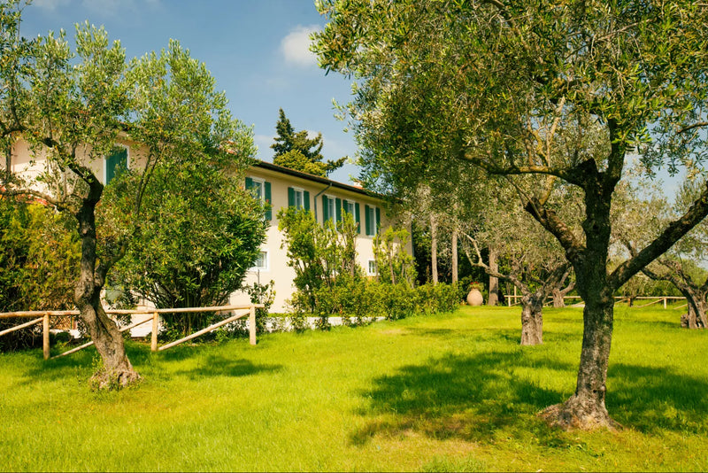 Villa Filippo Berio
