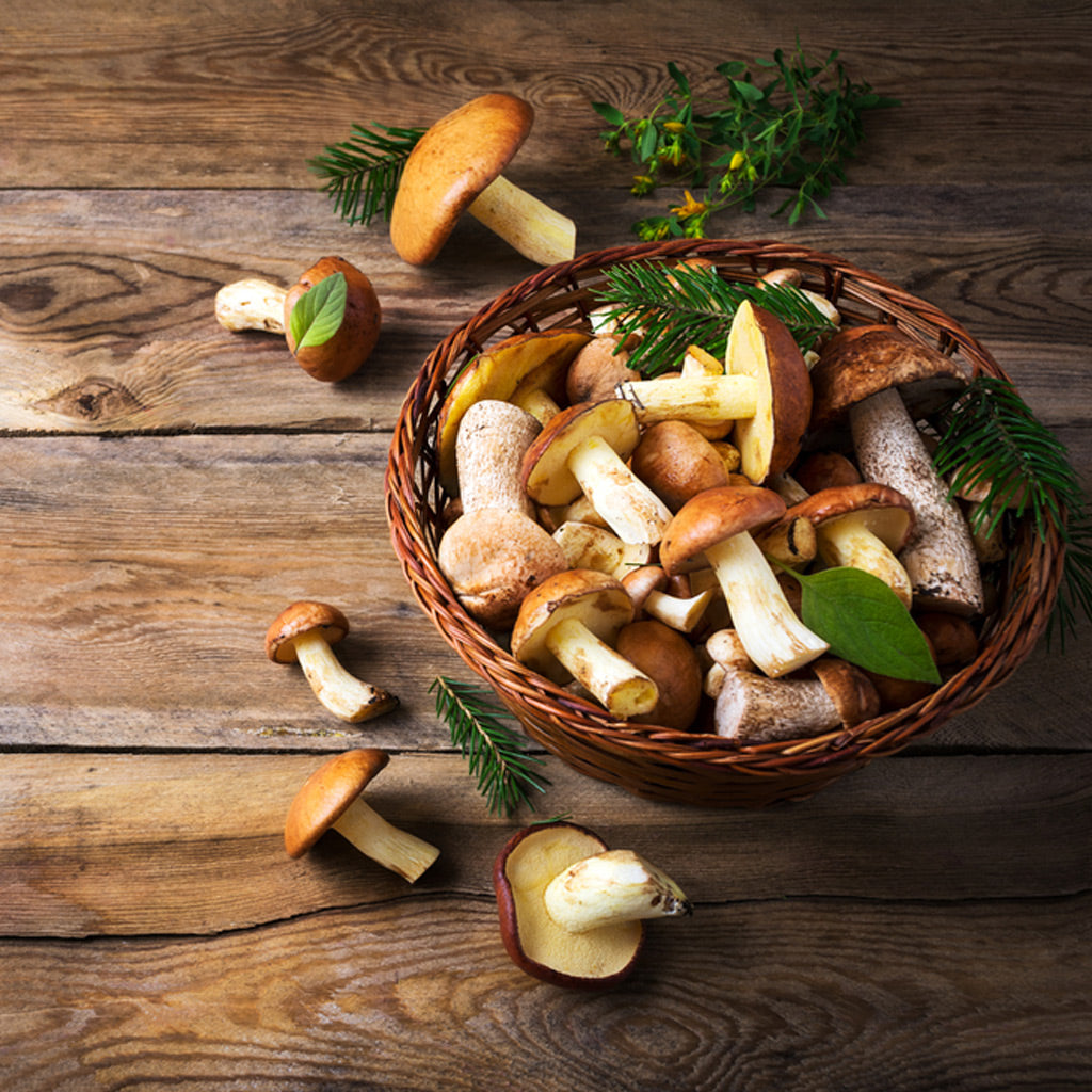 Filippo Berio's Porcini Feast Supperclub!