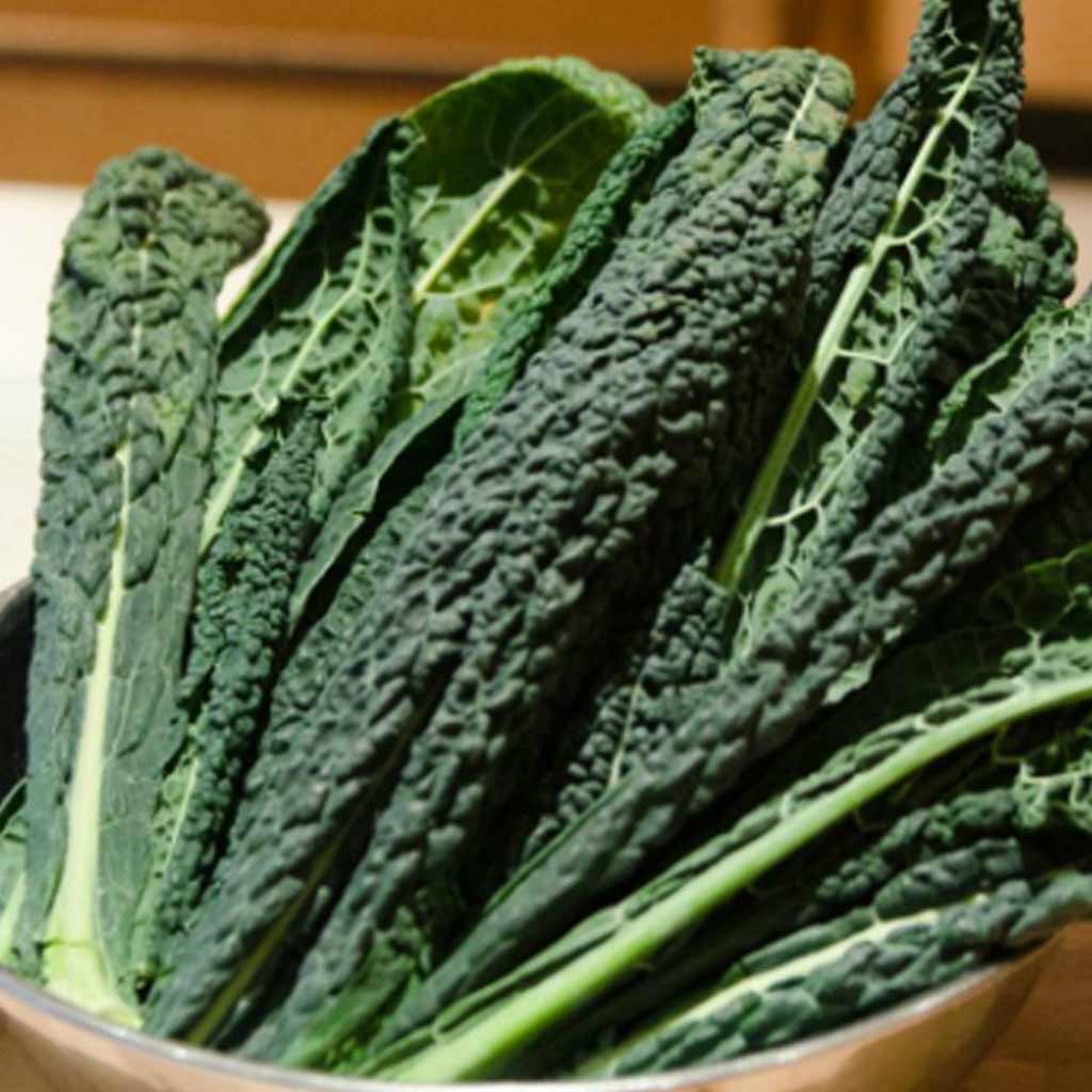 Sauteed Cavolo Nero with Chilli and Garlic